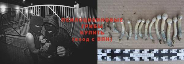 мескалин Алексин