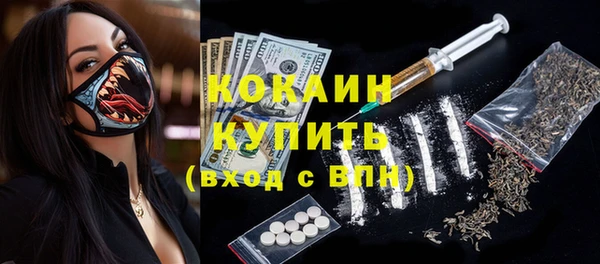соль ск Михайлов