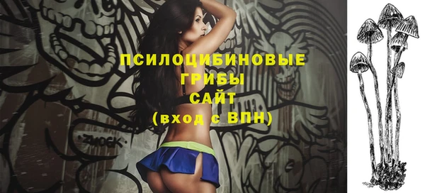 соль ск Михайлов