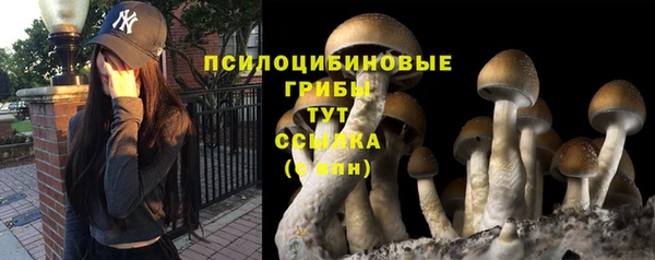 не бодяженный Алзамай
