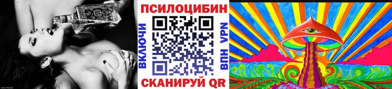 хочу наркоту  Арамиль  Галлюциногенные грибы Psilocybine cubensis 